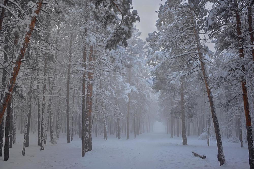 Морозный день