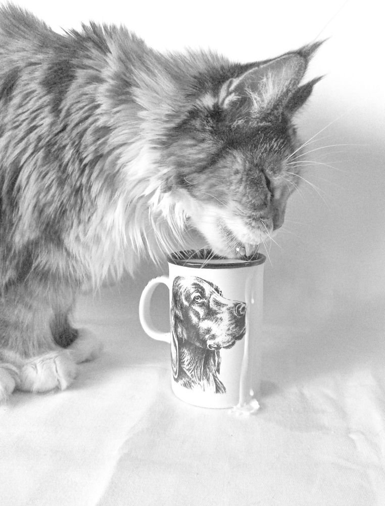 Photograph by Ruslanarar