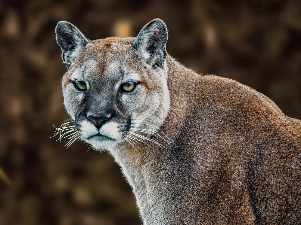 Photograph by Annette Taberner-Miller