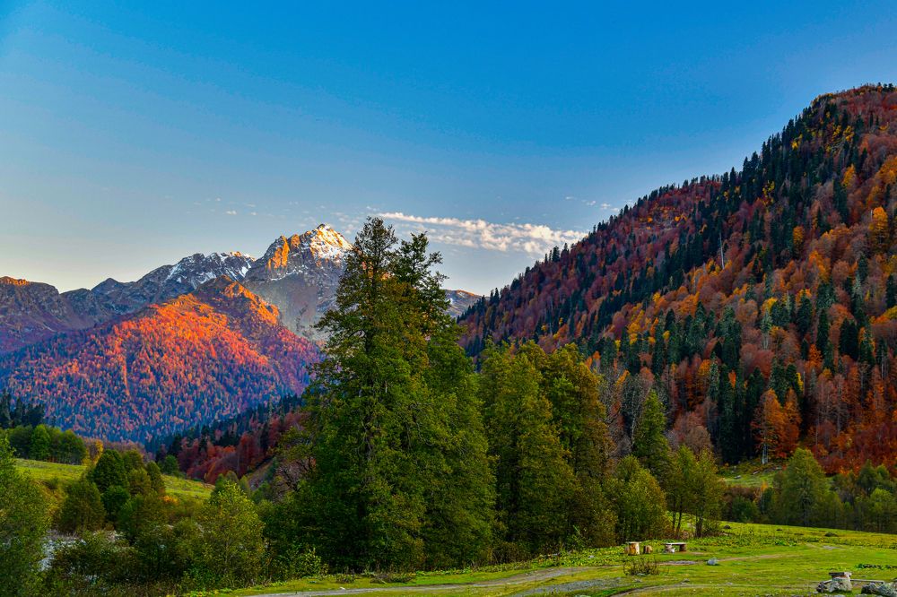 Все времена года