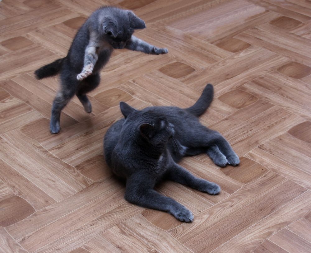 Photograph by Наталья Стальмакова