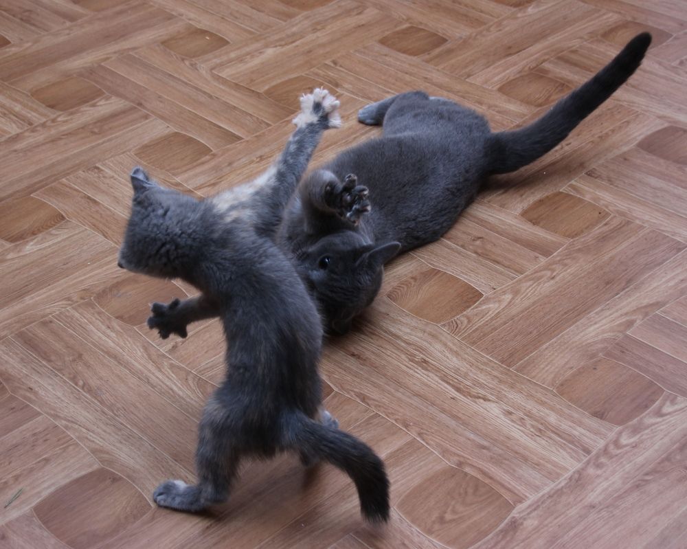 Photograph by Наталья Стальмакова