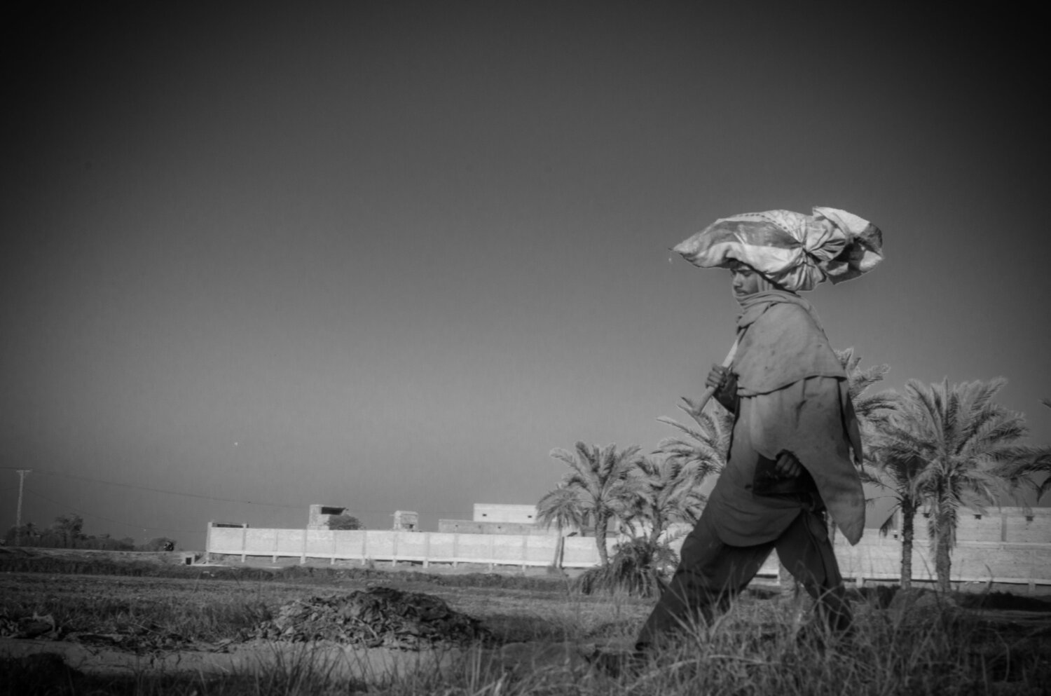 Photo #8696806