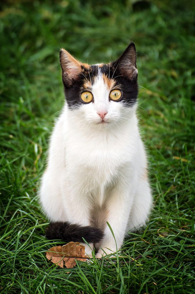 Photograph by Matko Matkovic