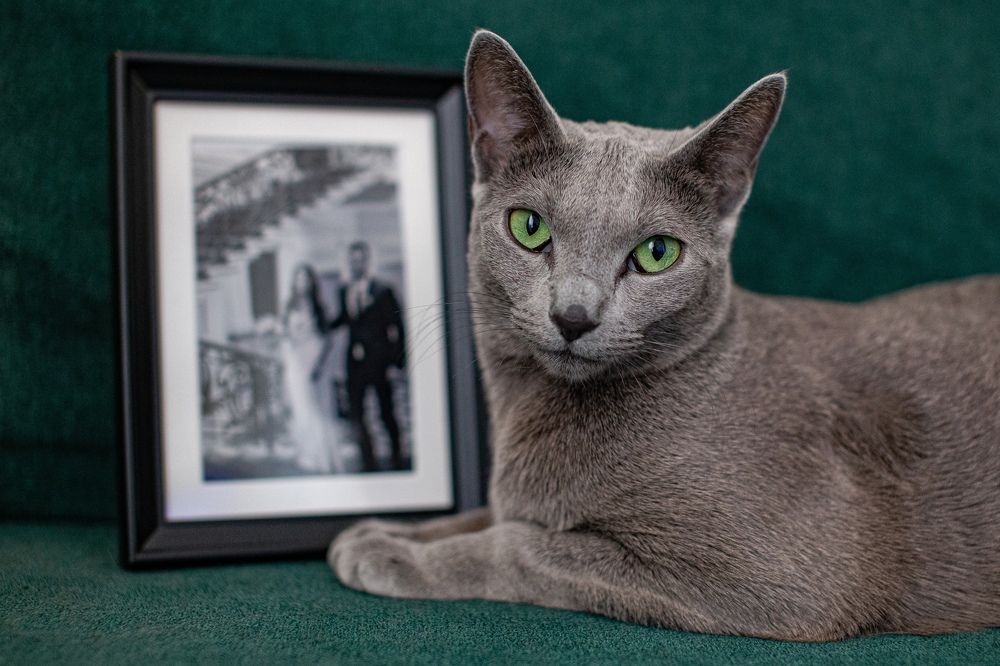 Фотография автора Лукьянов Евгений