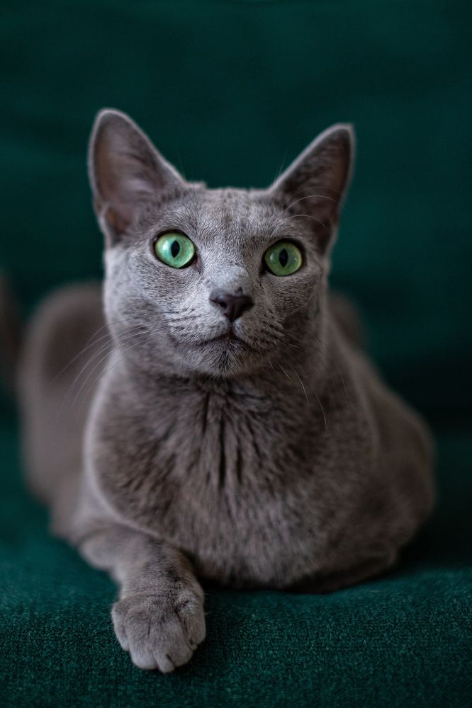 Фотография автора Лукьянов Евгений