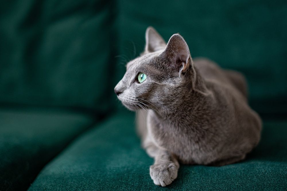 Фотография автора Лукьянов Евгений