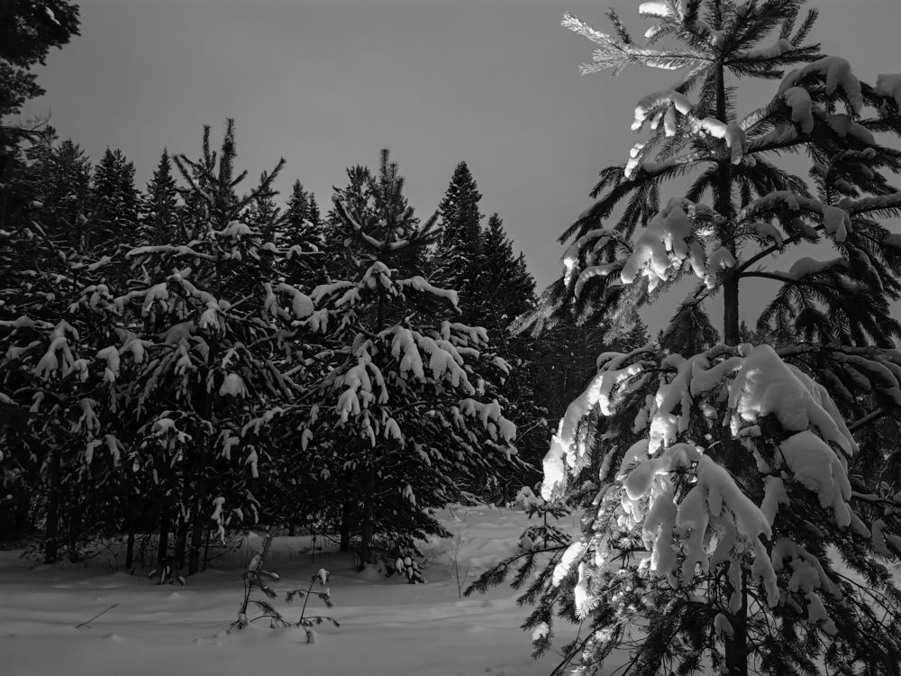 Photograph by Alexandr