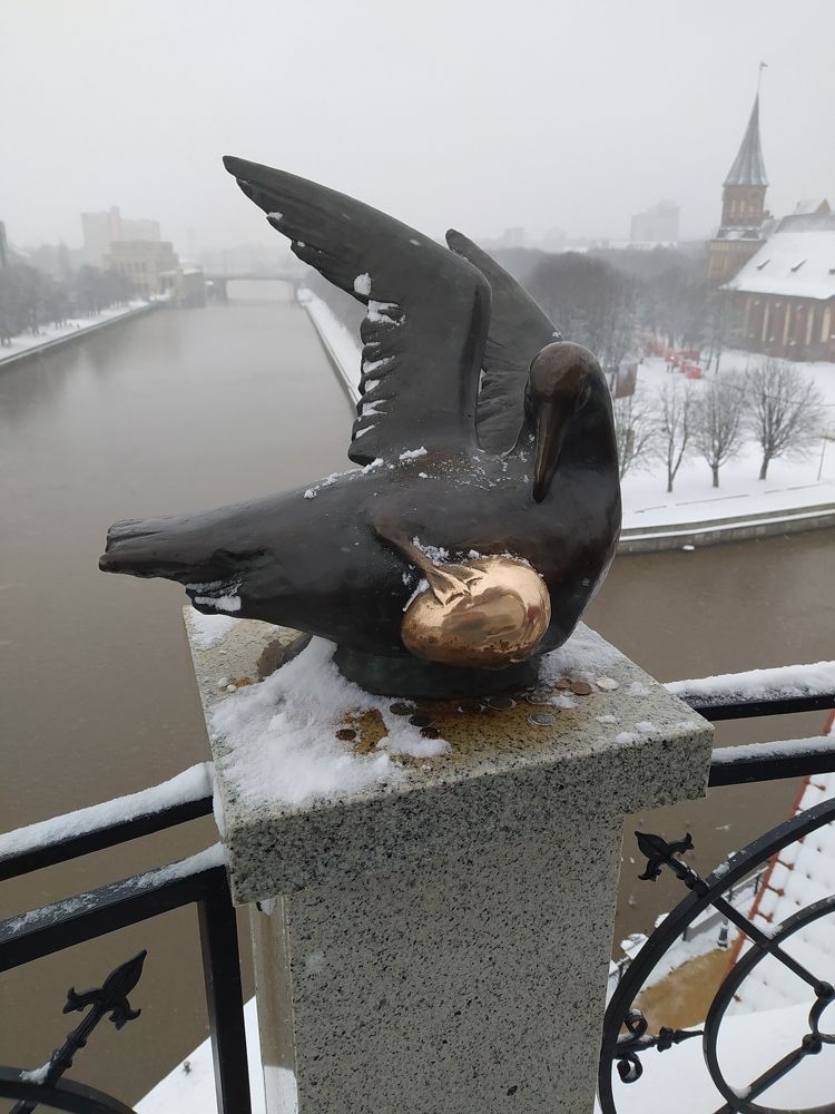 Photograph by Evgesha K