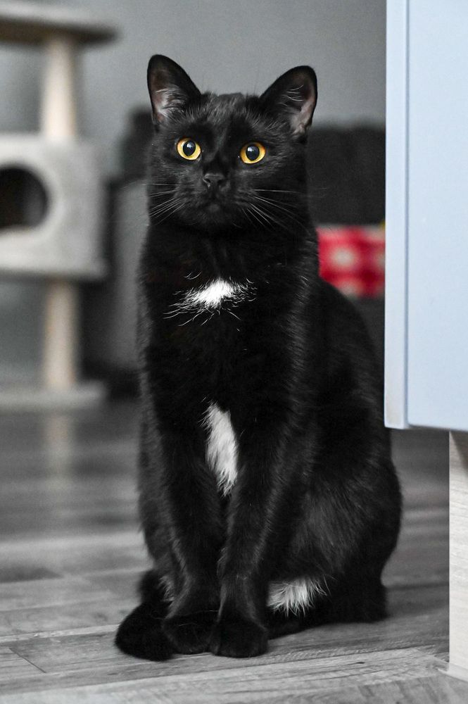 Photograph by Vasily Baranov