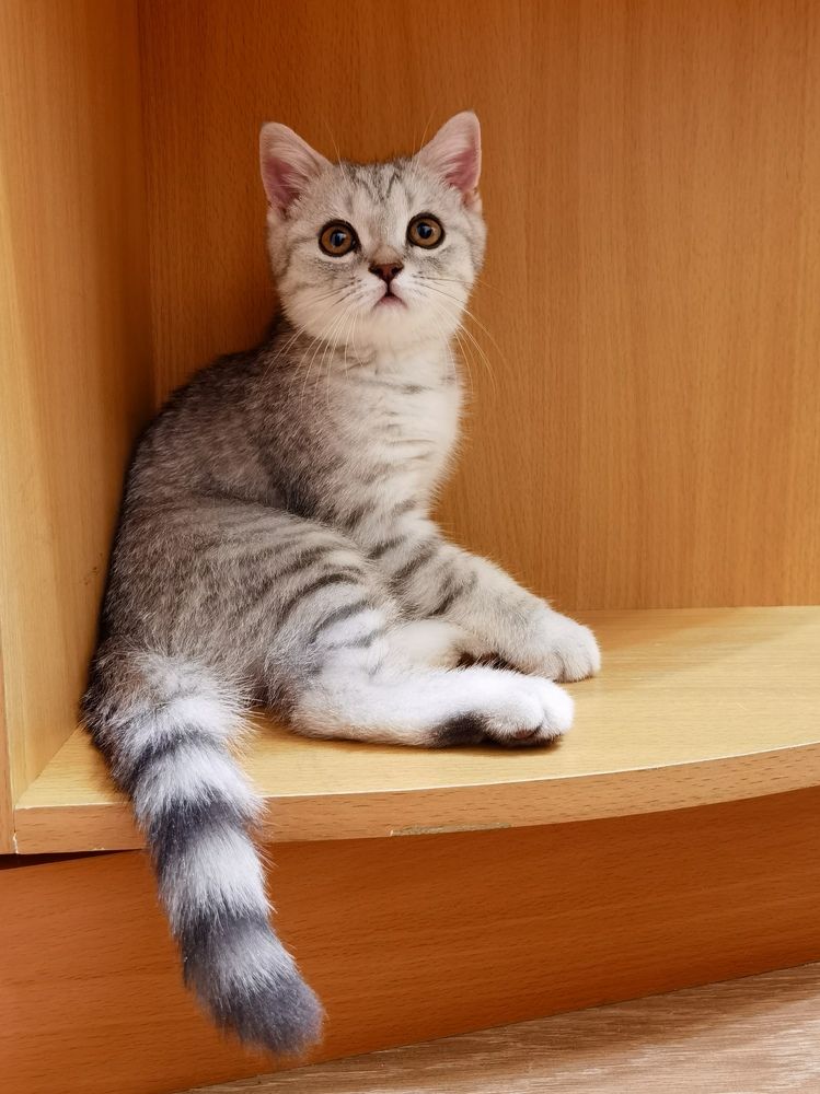 Photograph by Alexandr