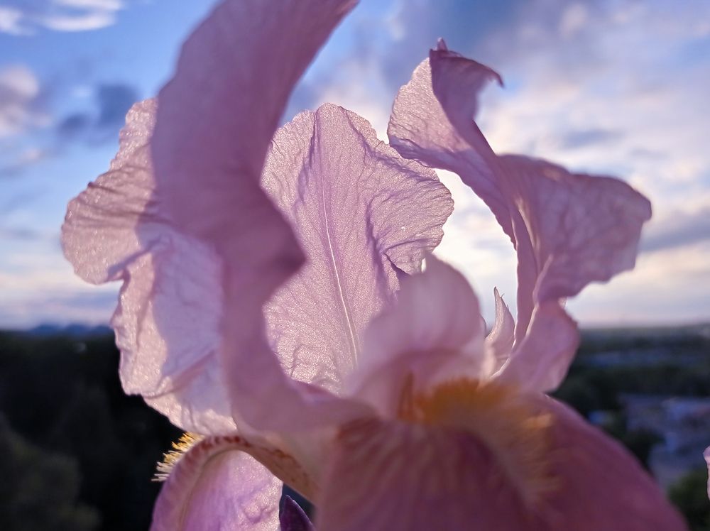 Photograph by Наталья Стальмакова