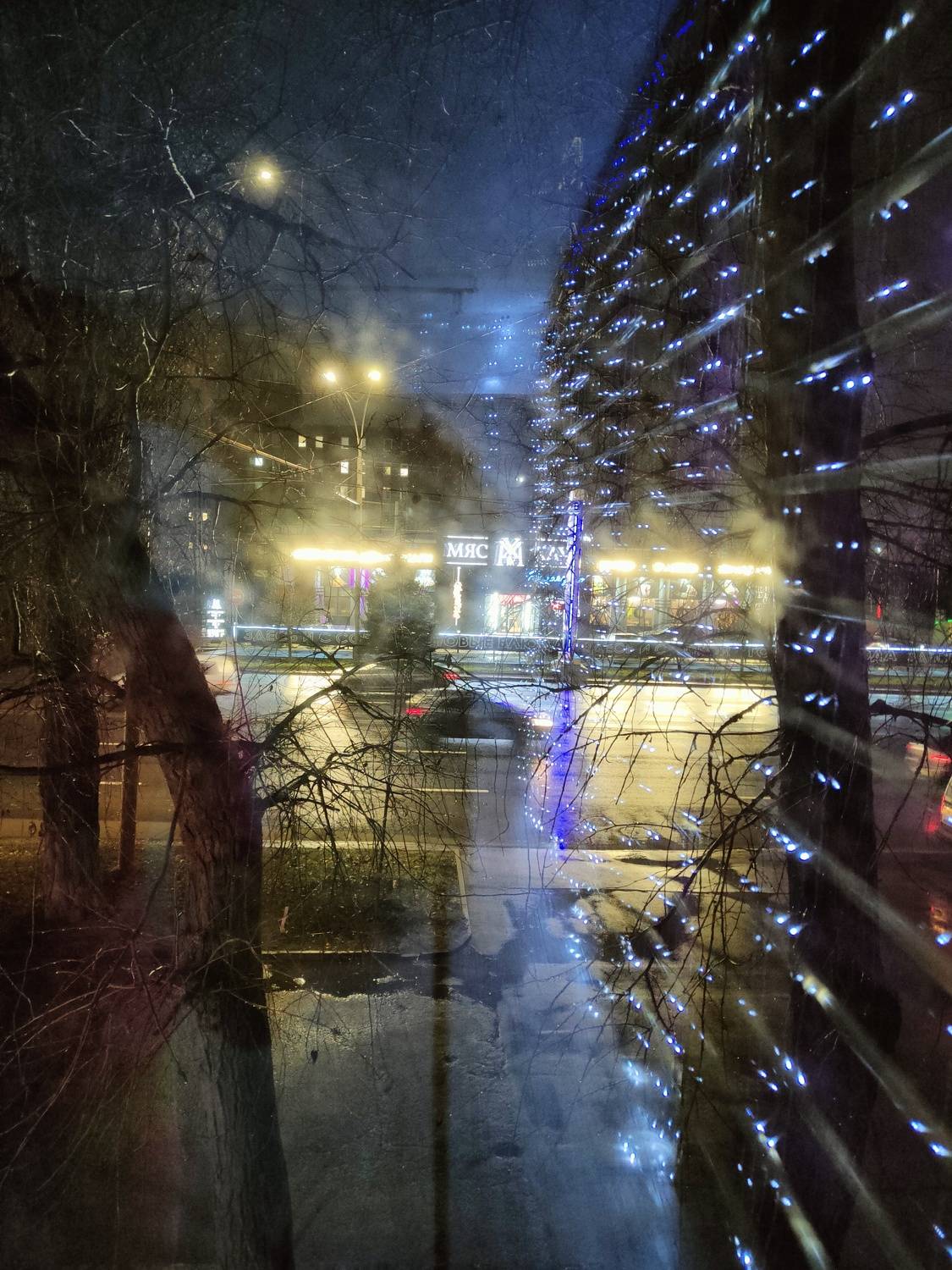 Photo #8697098