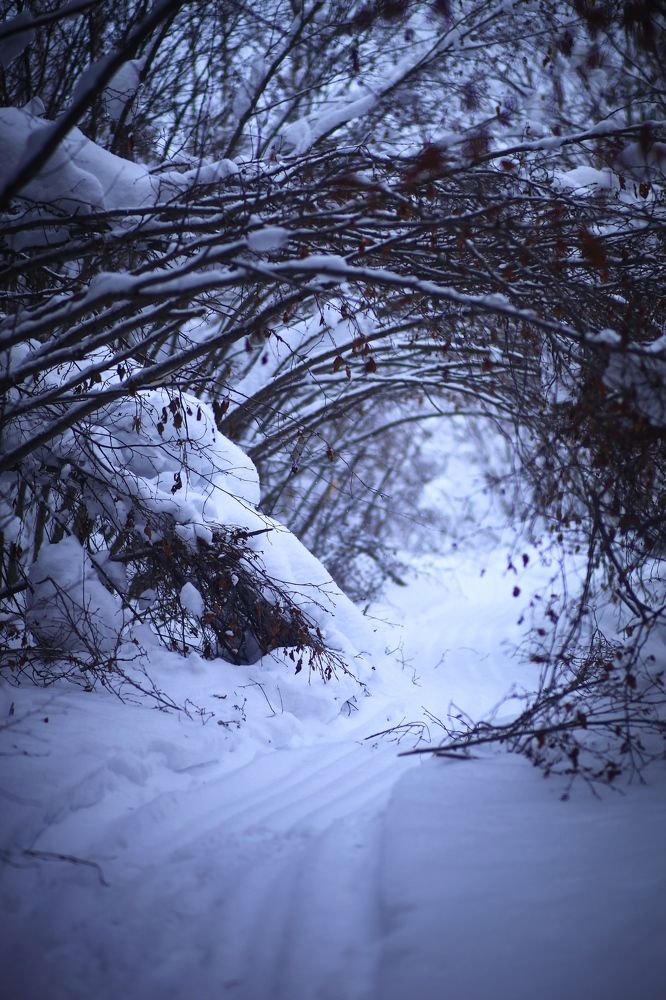 Photograph by Григорий Шишонков