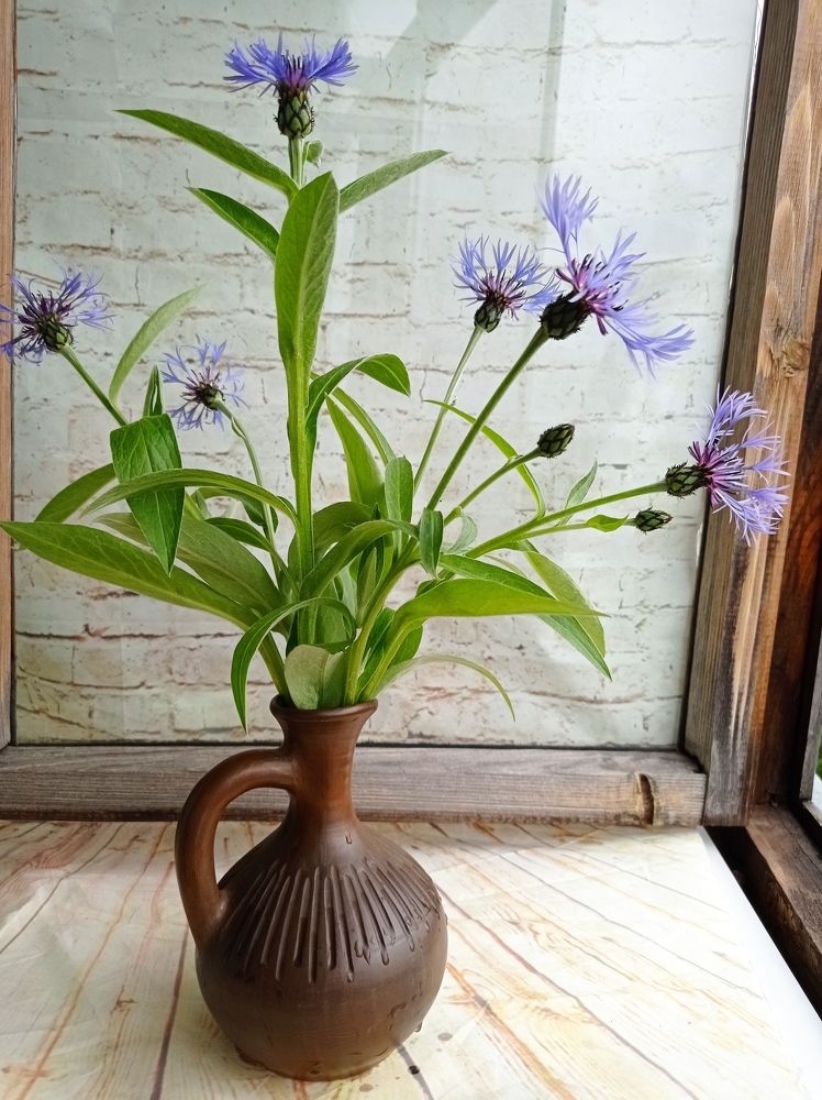 Photograph by Наталья Стальмакова