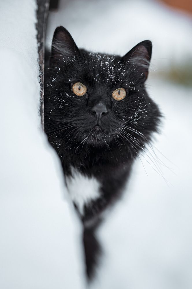 Photograph by Марьям Цимбельман