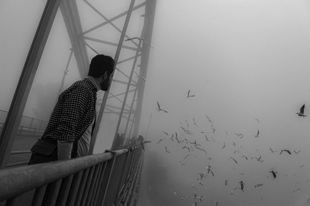 Photograph by Amin Jamei