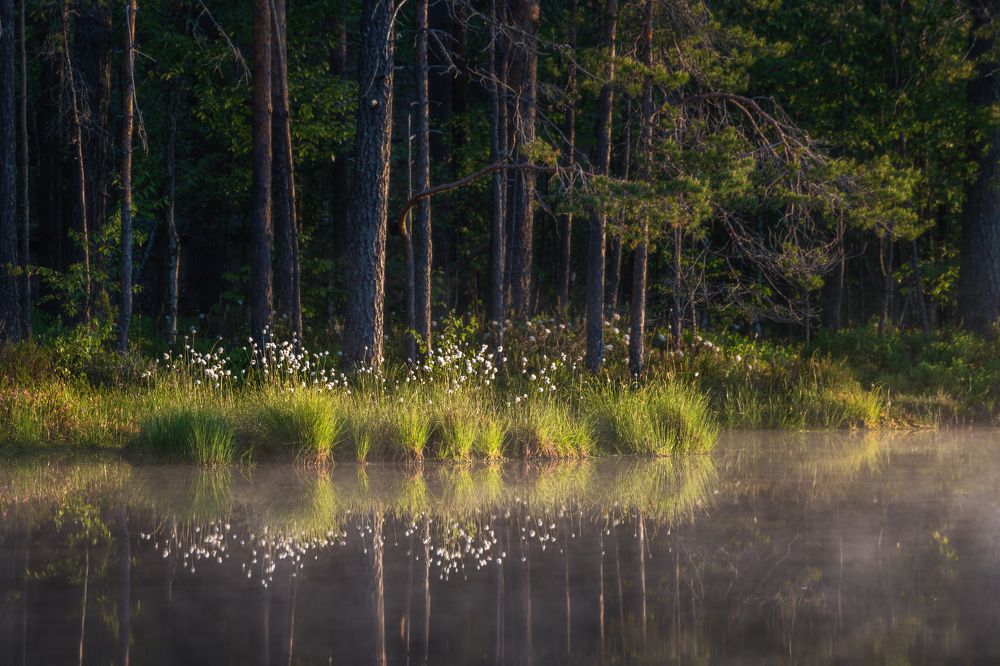 Photograph by Gureva Elena