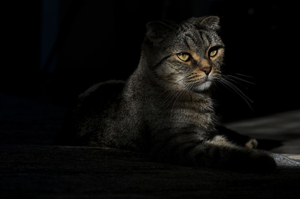 Photograph by Марьям Цимбельман