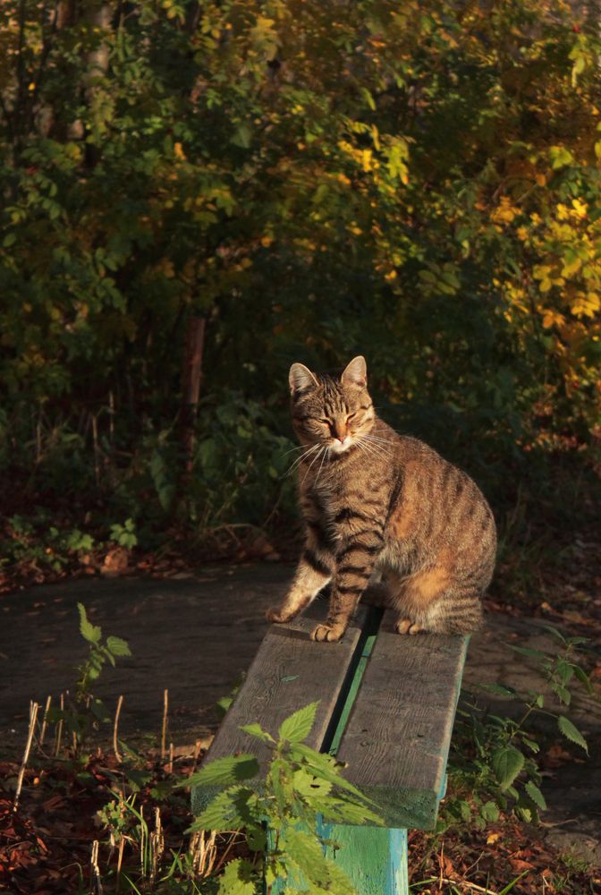 Photograph by Екатерина Михеева