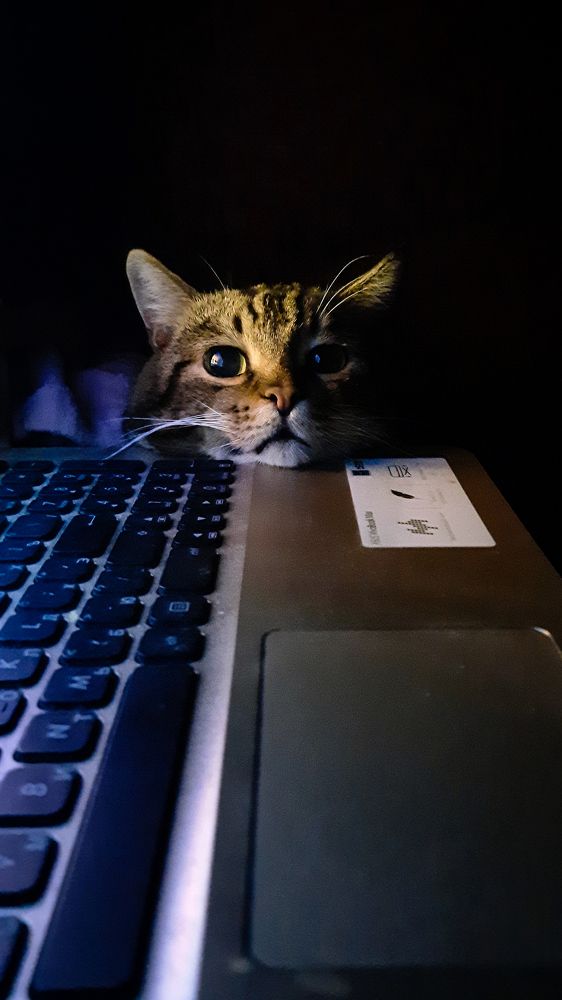 Photograph by Екатерина Михеева