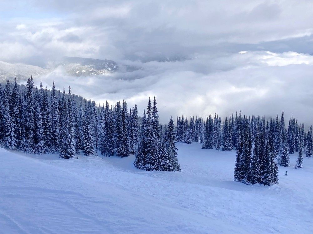 Фотография автора Елена