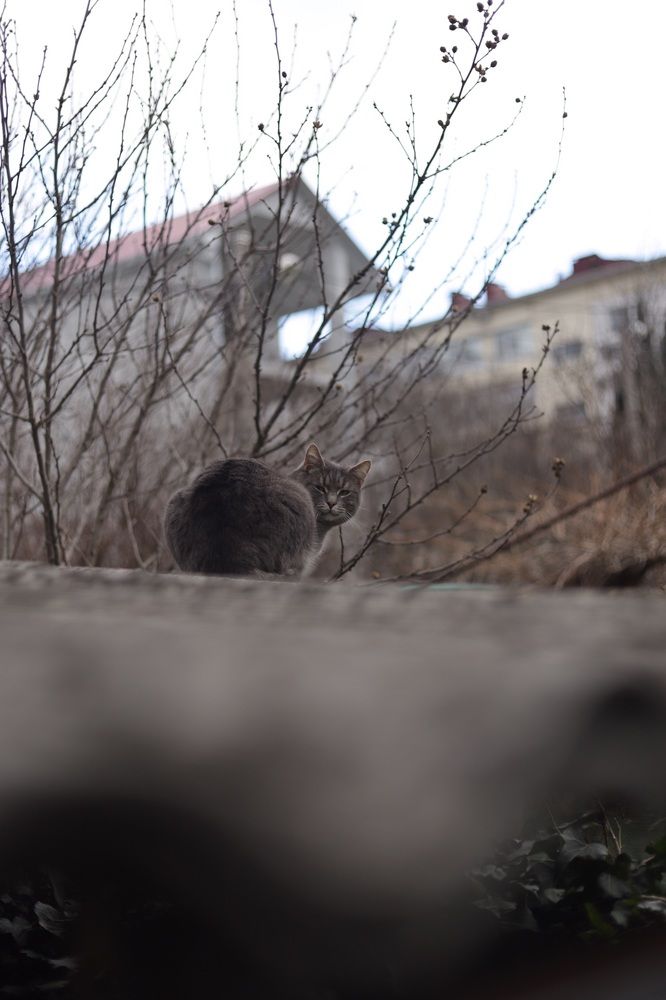 Photograph by Александр Перепелицин