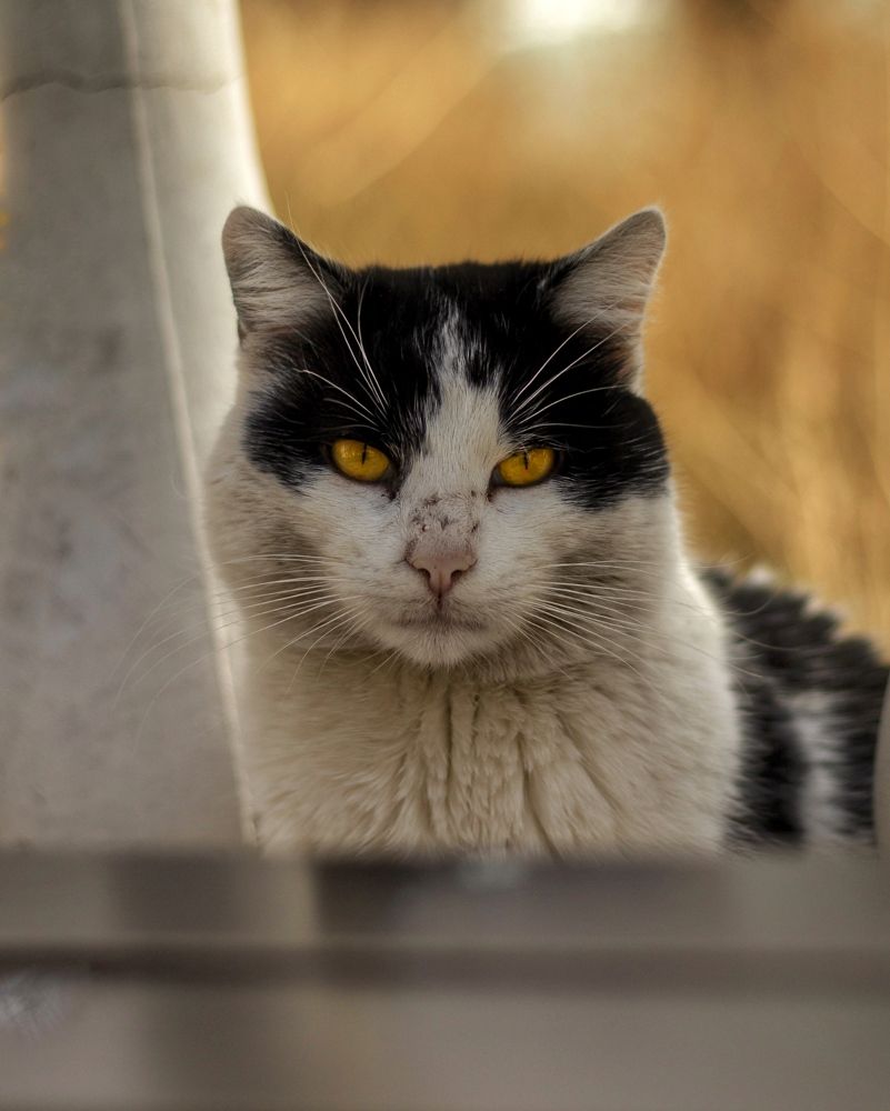 Photograph by Александр Перепелицин