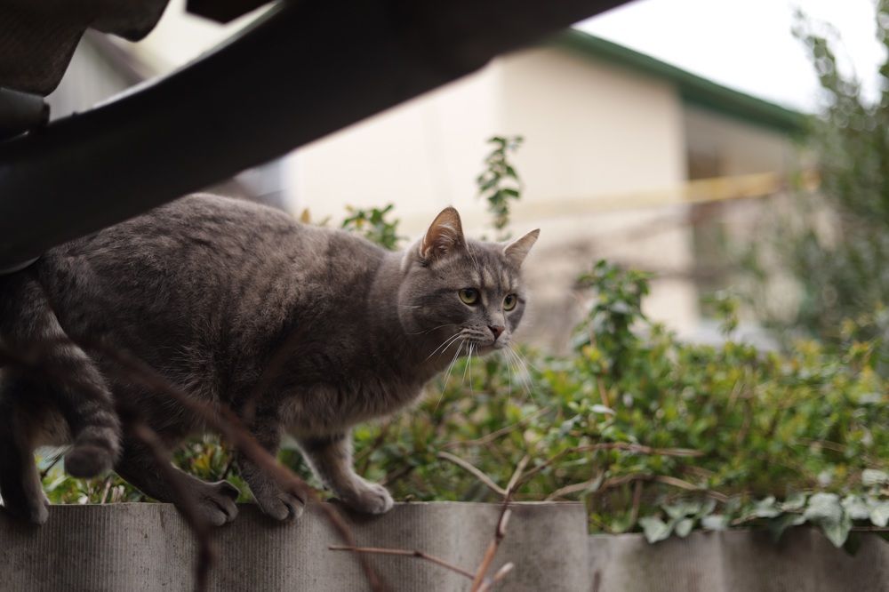 Photograph by Александр Перепелицин