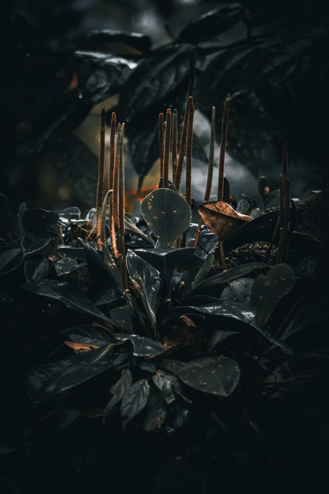 Photograph by Jorge Ortega