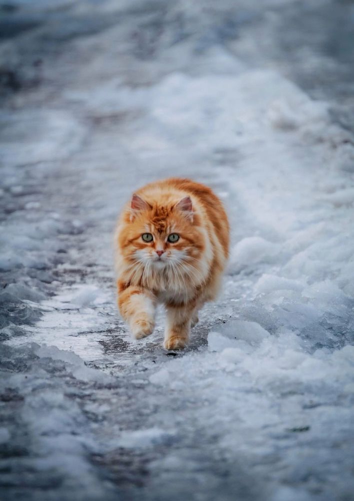 Photograph by Ася