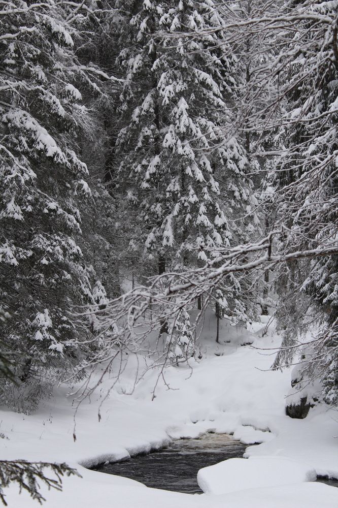 Photograph by Миркулов Кирилл