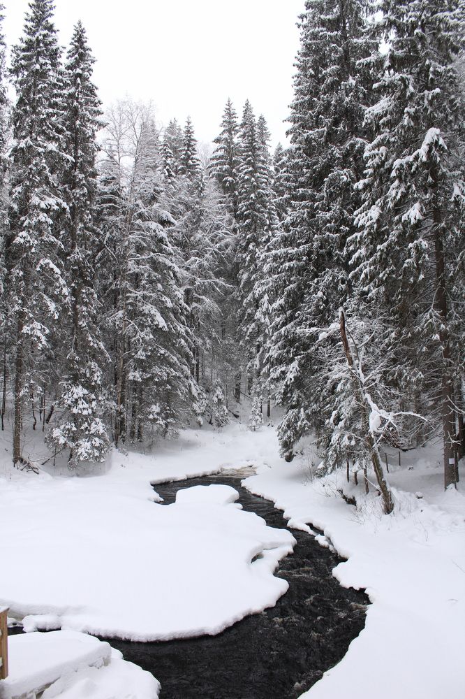 Photograph by Миркулов Кирилл