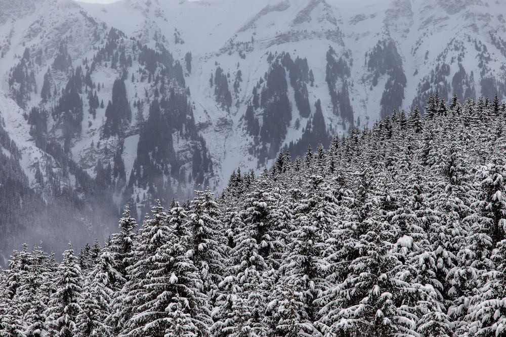 Photograph by Sergey Uskov