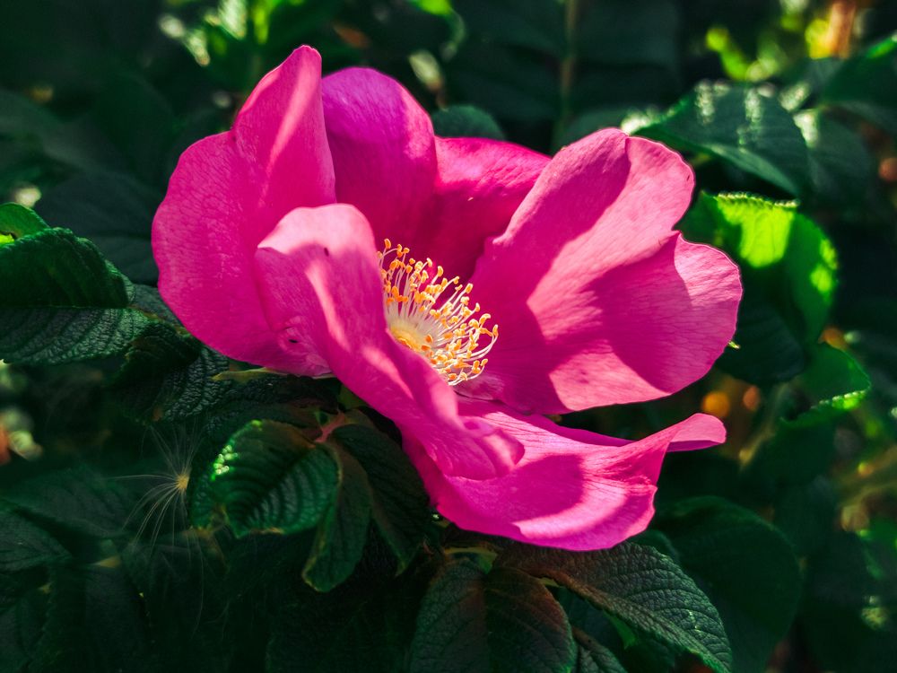 Photograph by Андрей Романов