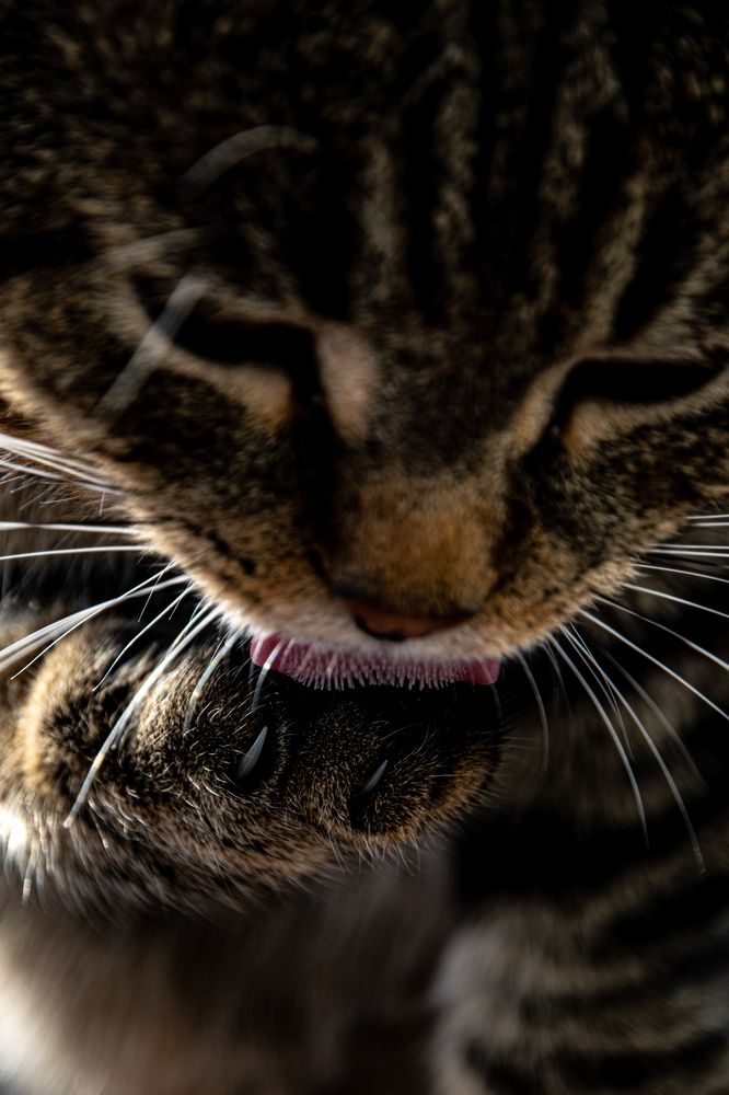 Photograph by Любовь Малышева