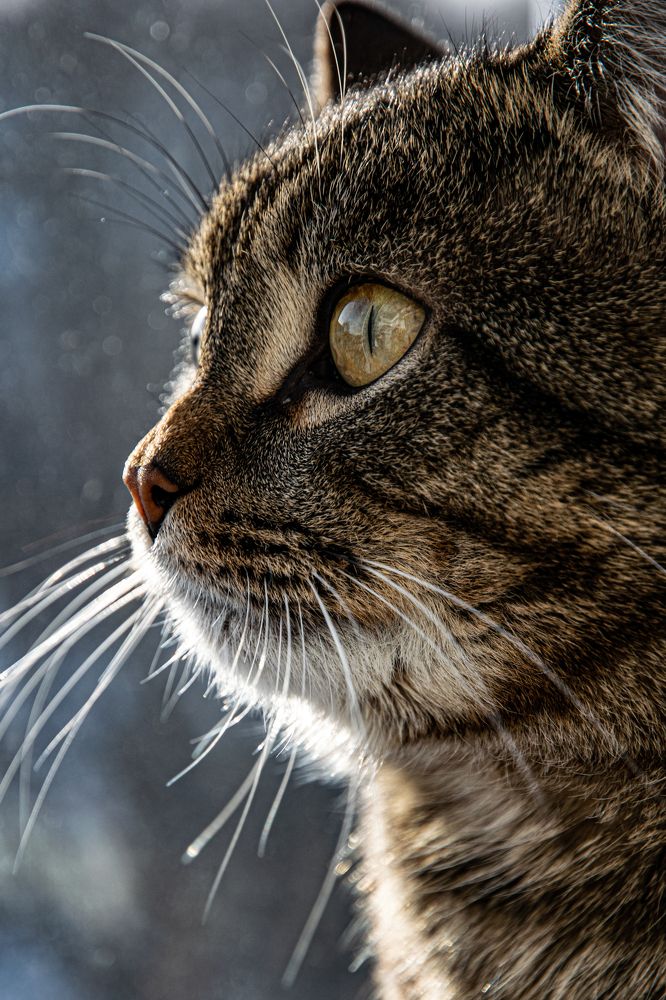 Photograph by Любовь Малышева