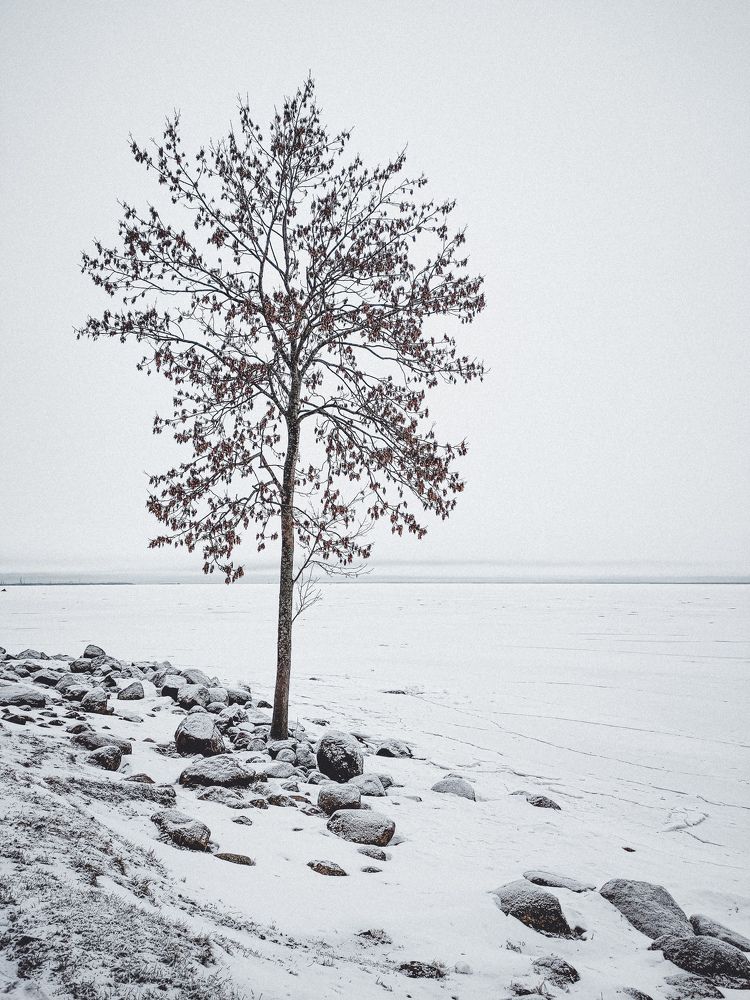 Photograph by Дмитрий Малышев