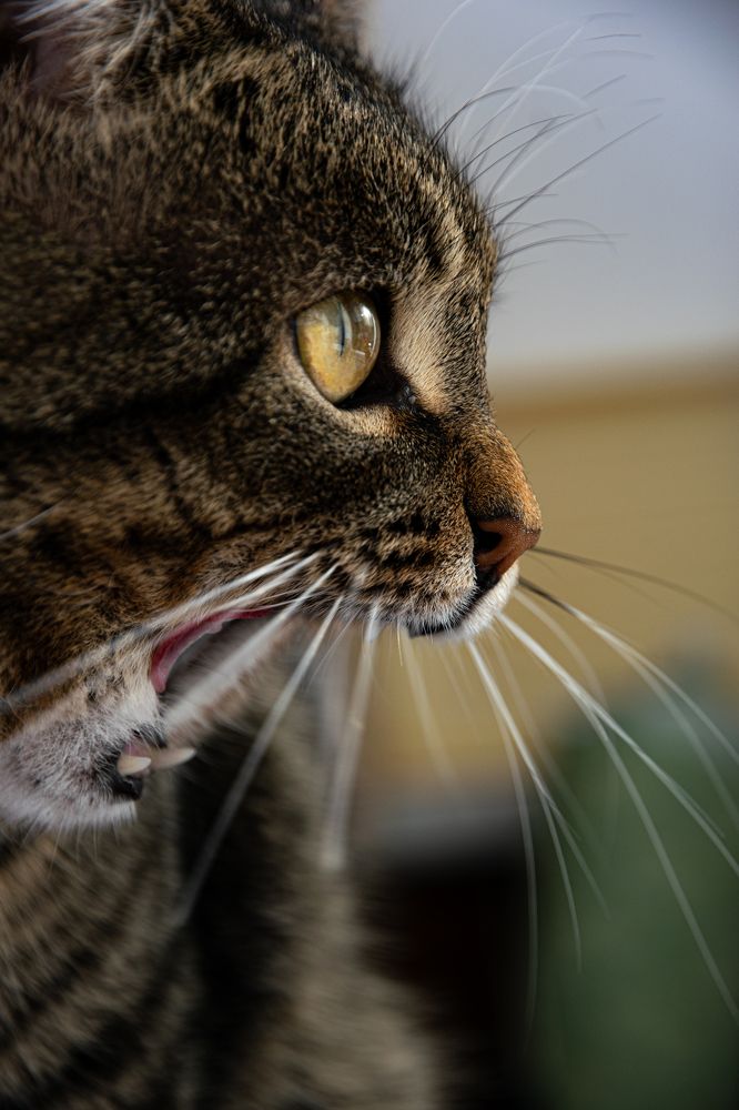 Photograph by Любовь Малышева