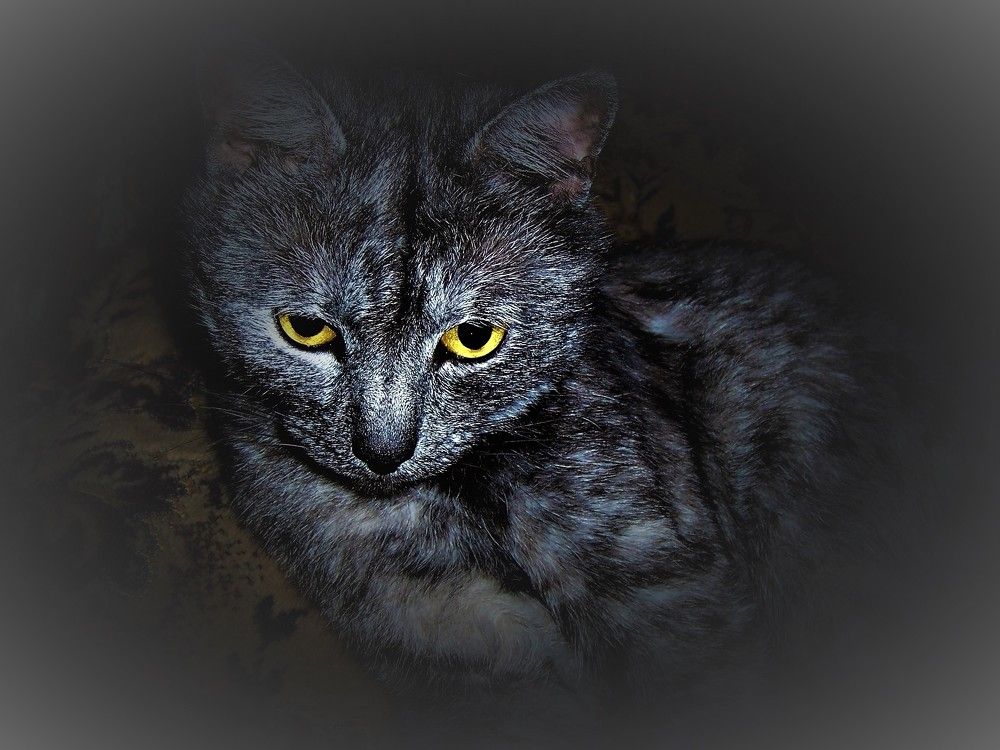 Photograph by Яна Галимуллина