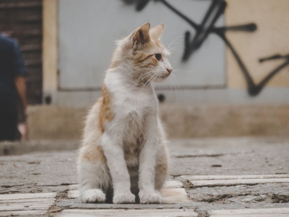 Photograph by moussaab