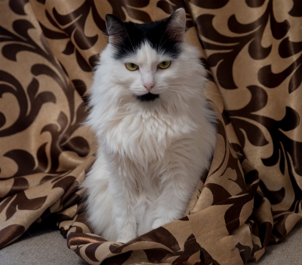 Photograph by Ирина Крылова