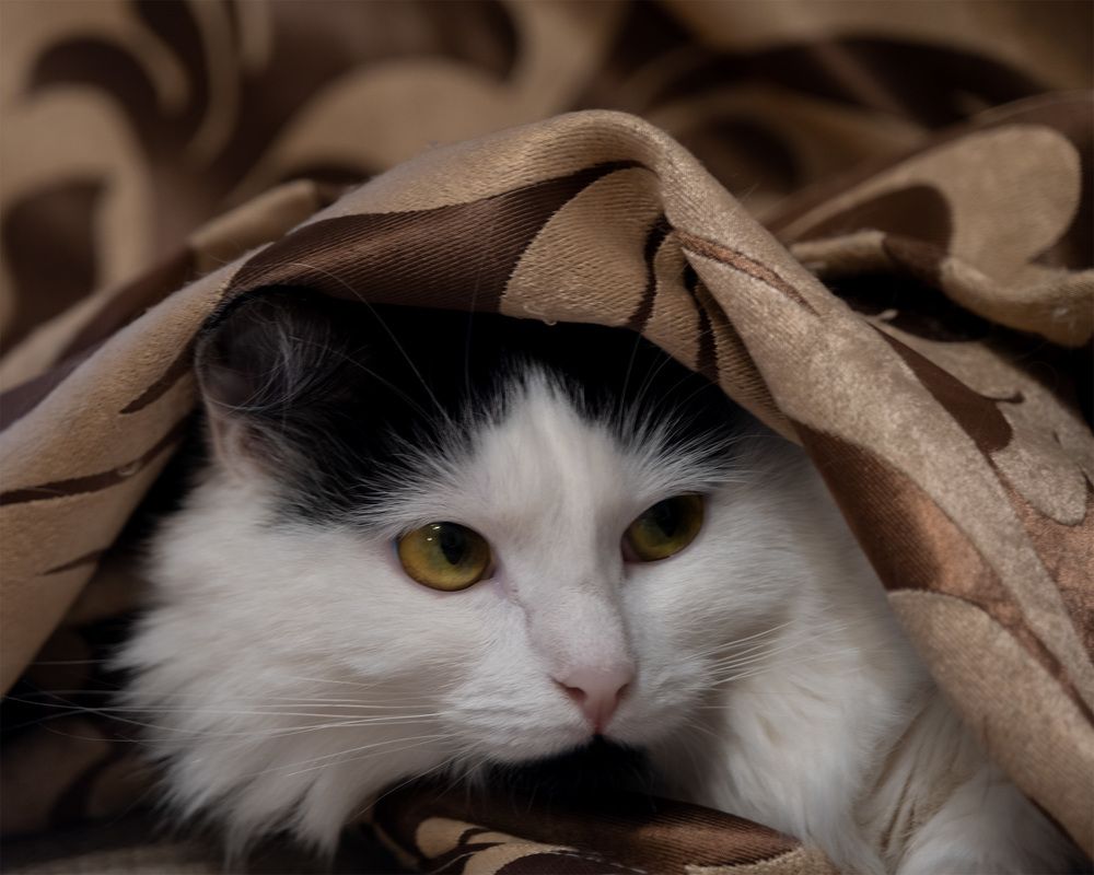 Photograph by Ирина Крылова