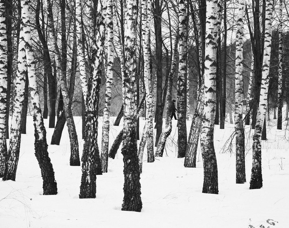 Photograph by Roman Байтлеулов