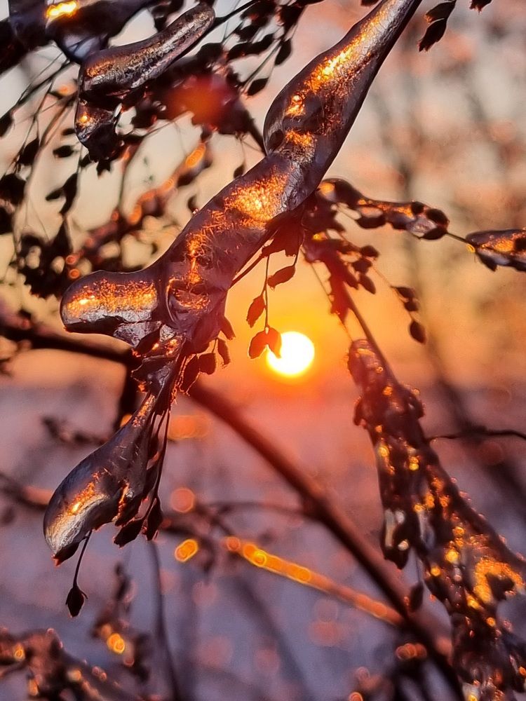 Photograph by Ангелина Шикина