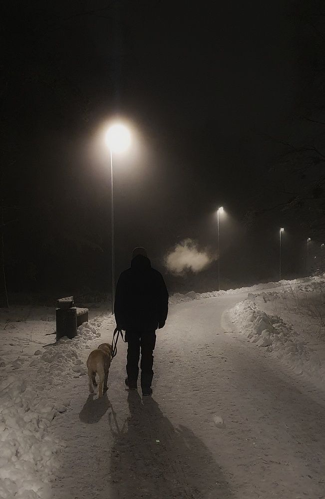 Тихий зимний вечер..