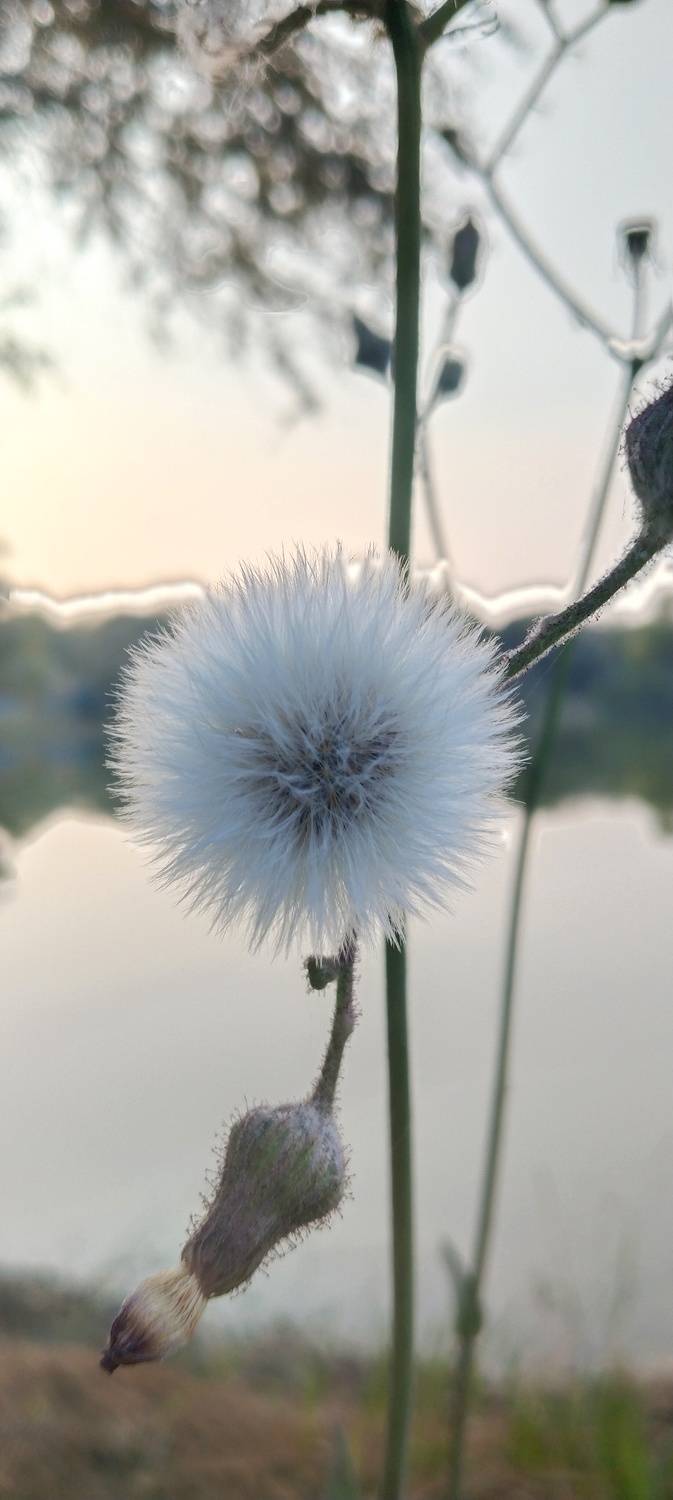 Photo #8697654