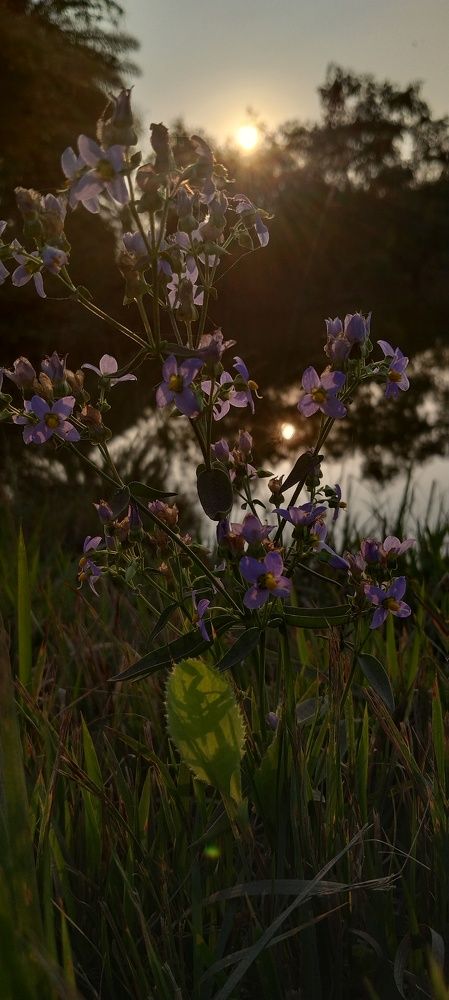 Photo #8697677