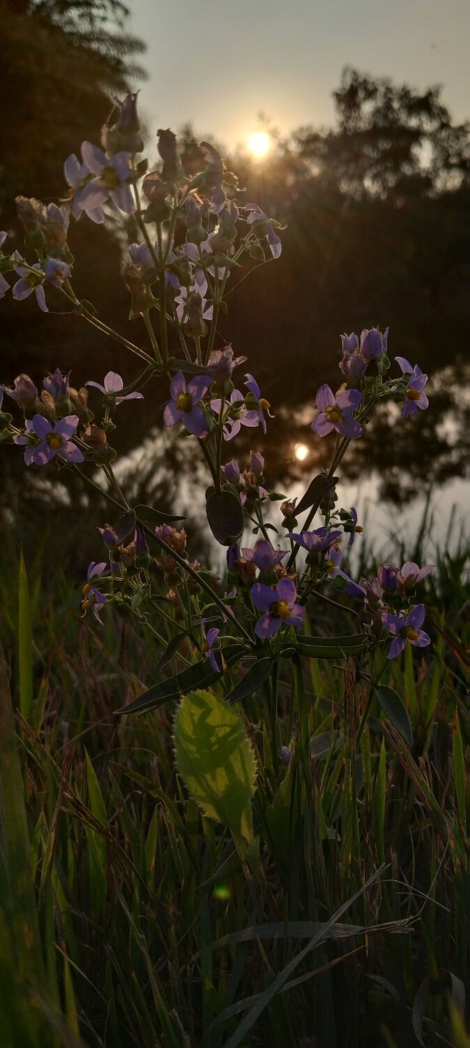 Photo #8697677
