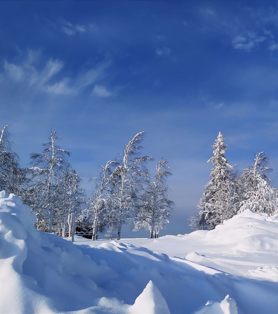 Photograph by Надежда